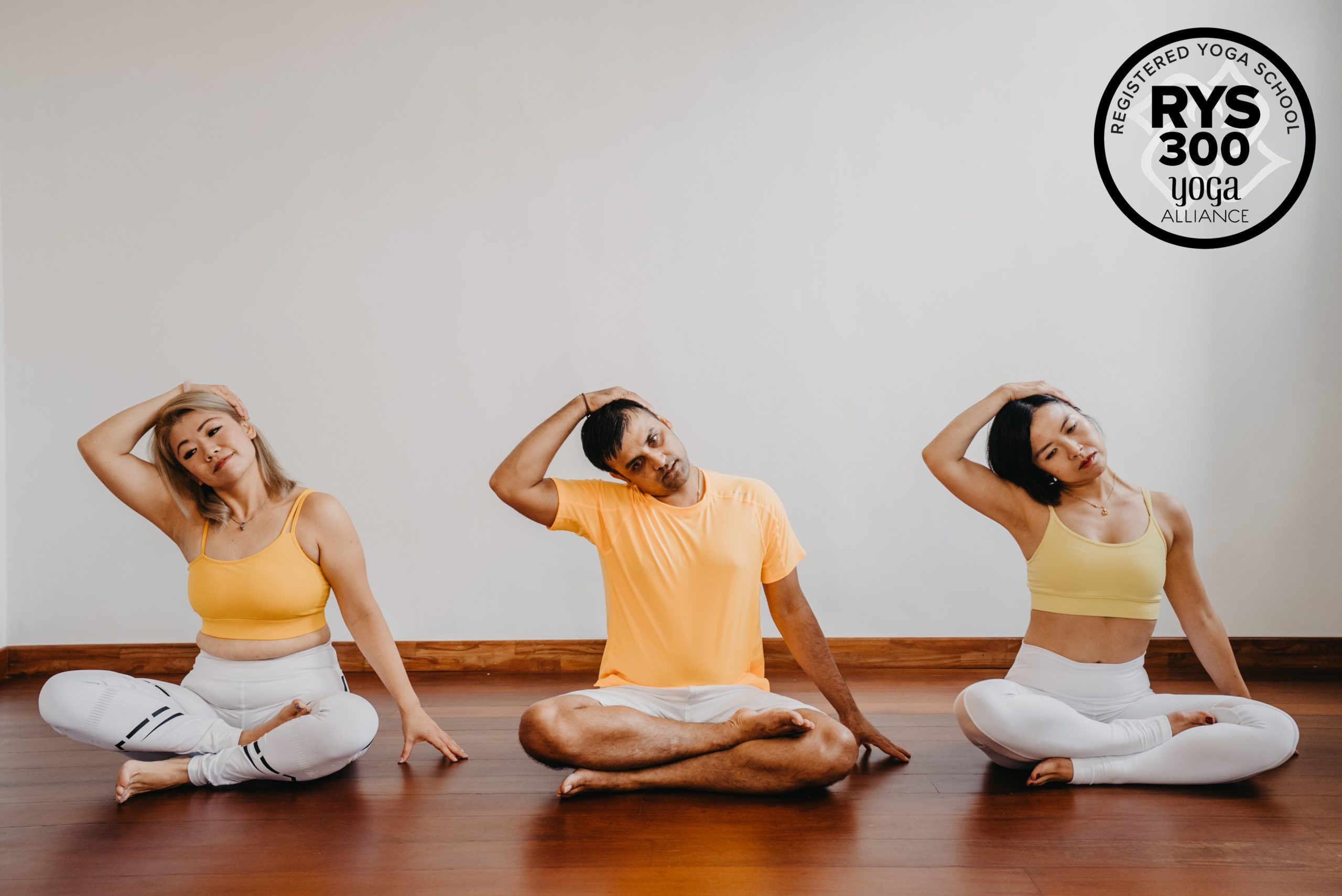 300 Hours Advance Yoga and Wellness Teacher Training Course