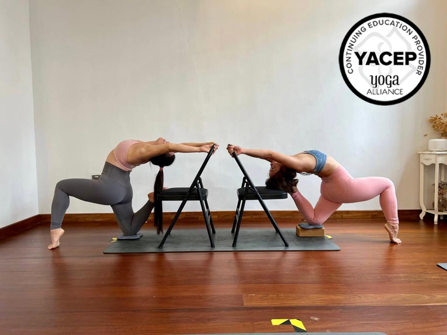 30 Hours Chair Yoga Teacher Training Course